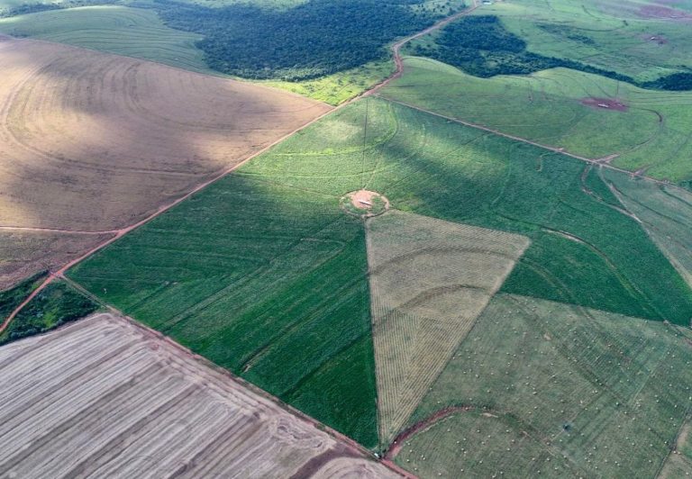 La experiencia de producir en Paraguay 3.000 cabezas en 700 hect&aacute;reas con planificaci&oacute;n y sostenibilidad