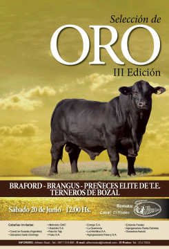 Corral de Guardia NUEVO