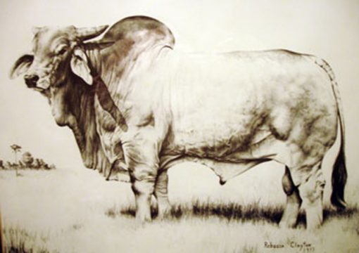 brahman