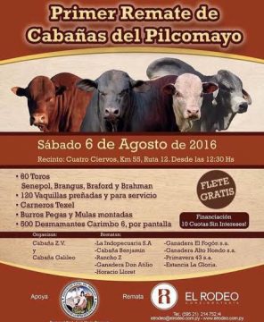 17c8dd41-5fc2-4ace-a86e-bc7c33b21be3