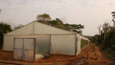 61000991470351102_70