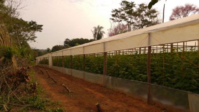 63712111470351107_70