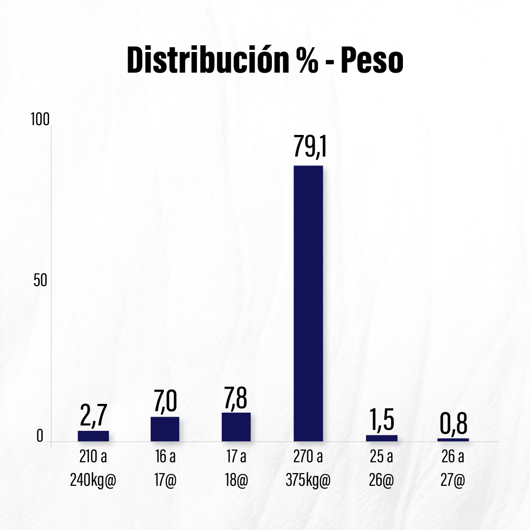 Datos totales de la competencia en Paraguay