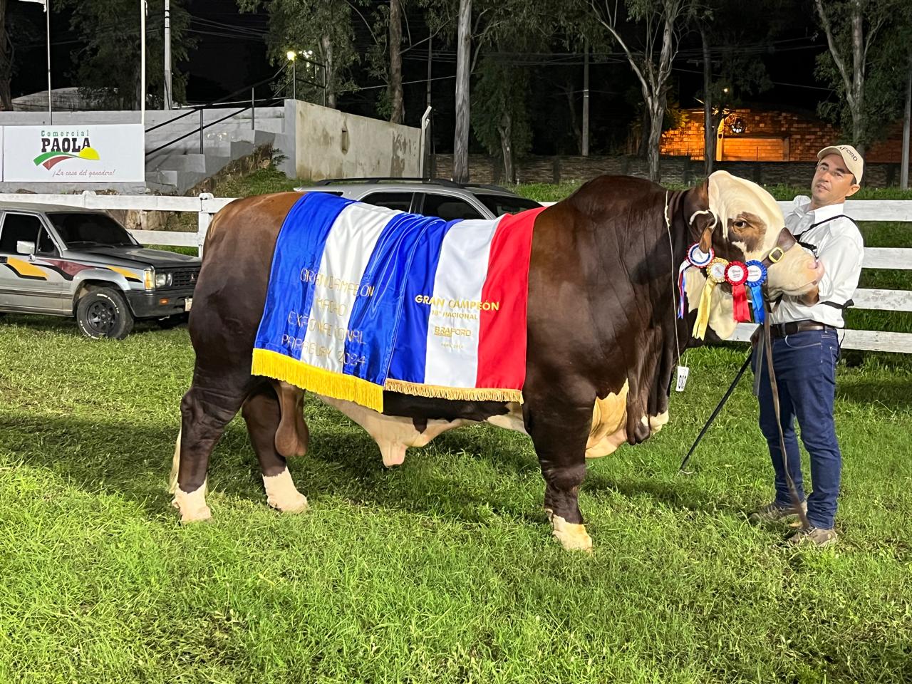 Gran Campeón Expo Nacional Braford 2024