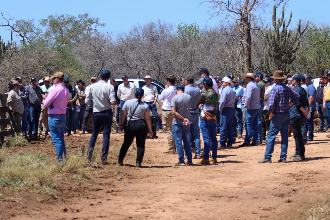 El recorrido implicó visitas al sistema de recría intensiva, confinamiento y se presentaron las proyecciones del 2025. Foto: gentileza Grupo TV Rural - José Peralta.