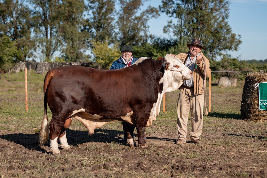 Marcelo Gortari en el campo. Foto: Eugenia Villalba, Ver de Campo