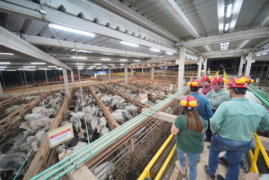 Foto: Mario Angelino - Futura Campo