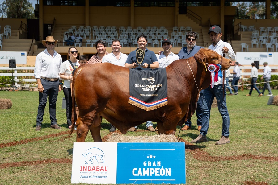 Gran Campeón Ternero, foto de Eugenia Villalba.