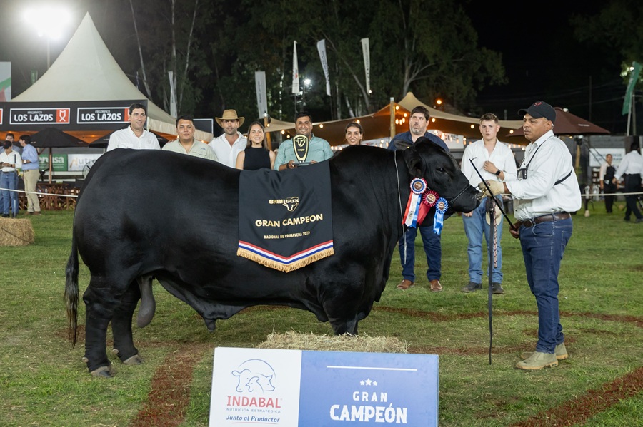 Gran Campeón. Foto Eugenia Villalba. 