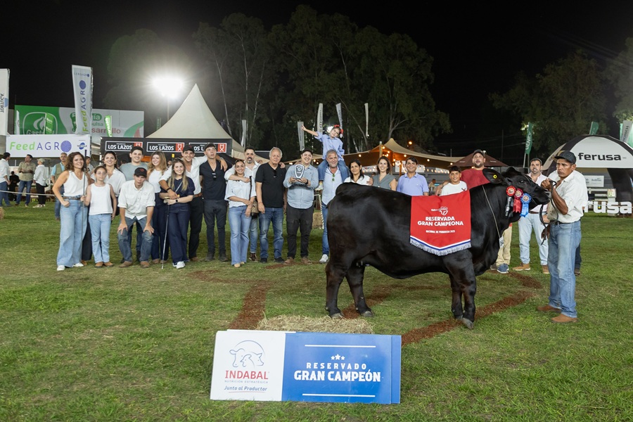 Reservada Gran Campeona, La Kamila, uno de los reproductores más caros del país. Foto: Eugenia Villalba. 